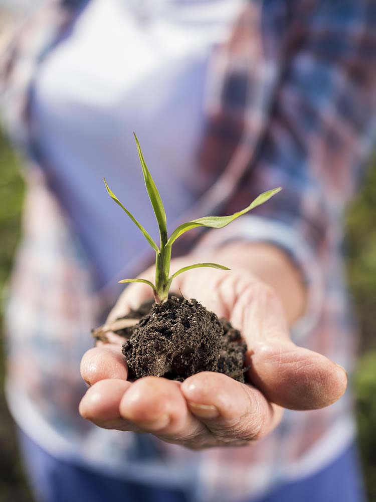 homepage_freegreeninnovareperincludere_3